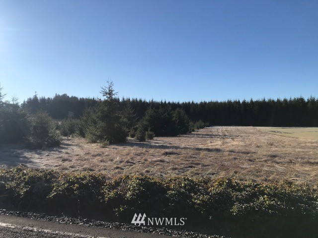 340 Pleasant Hill Road Chehalis, WA 98532 - Photo 5 of 9