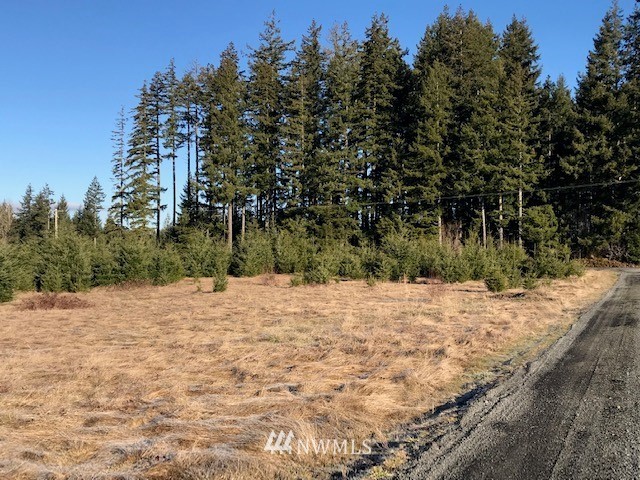 340 Pleasant Hill Road Chehalis, WA 98532 - Photo 7 of 9