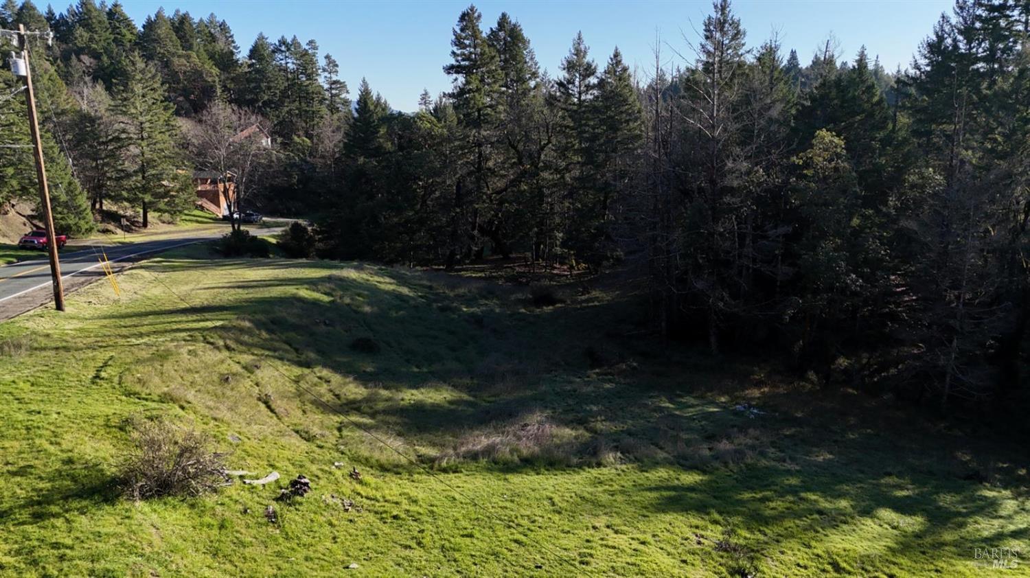 a view of a yard with plants