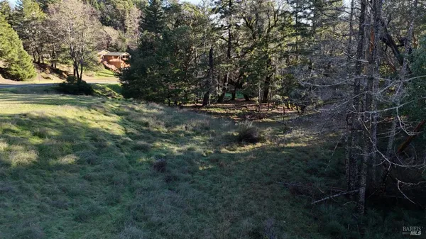a view of outdoor space and yard