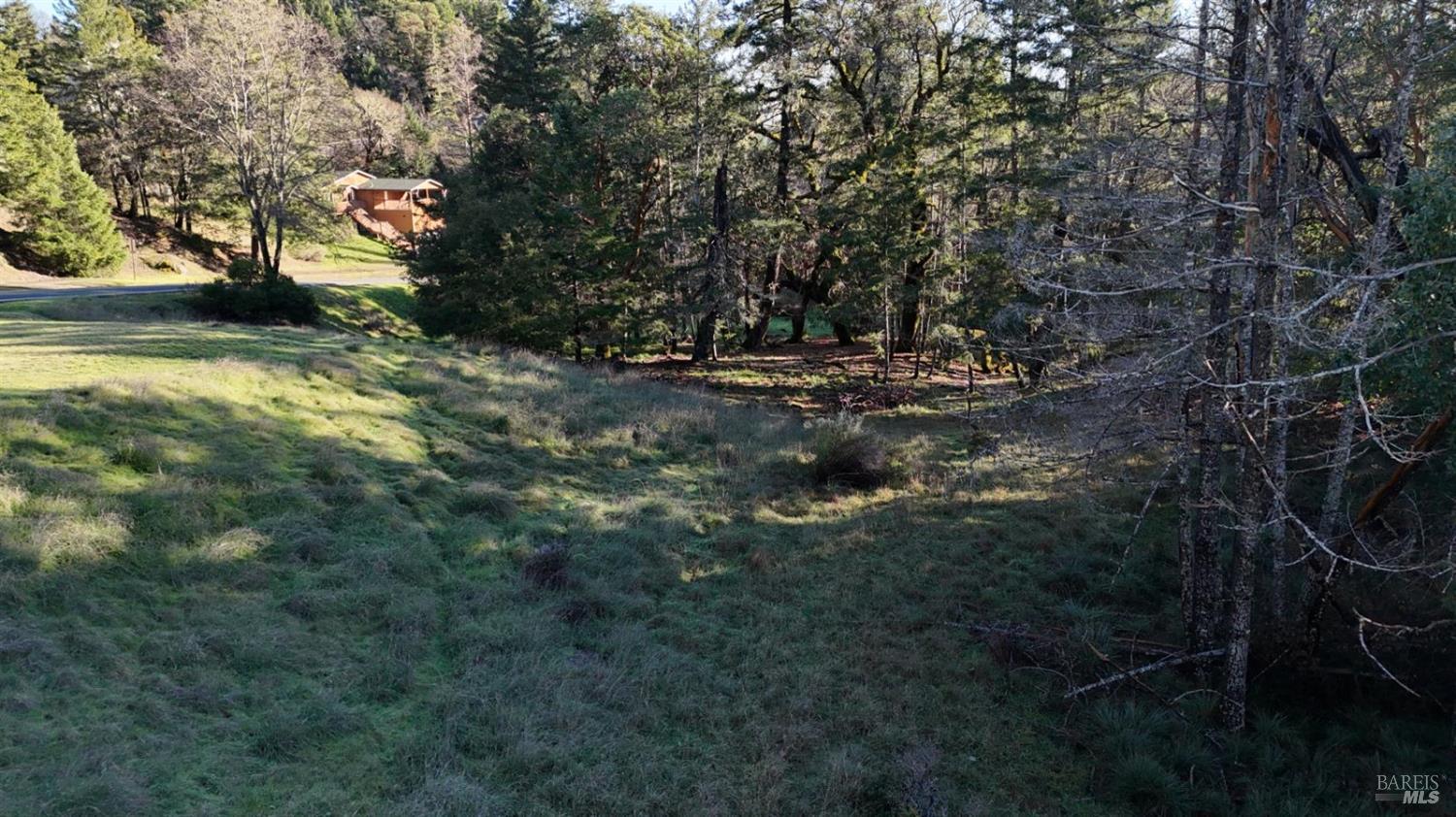 26400-26500 Sherwood Road Willits, CA 95490 - Photo 4 of 11 a view of outdoor space and yard