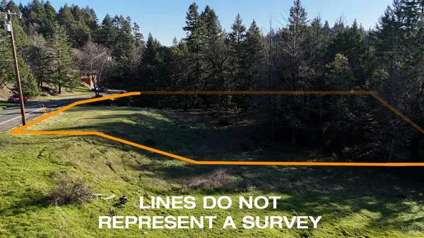 a view of a lot of flowers and fruits