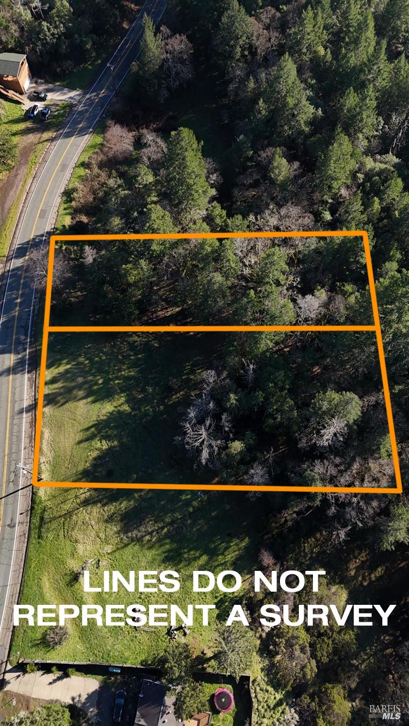 26400-26500 Sherwood Road Willits, CA 95490 - Photo 10 of 11 a view of a lot of flowers and fruits