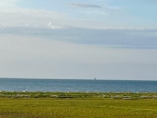 0 Hammocks Way Edisto Island, SC 29438 - Photo 11 of 16 IMG_7303