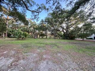 0 Hammocks Way Edisto Island, SC 29438 - Photo 14 of 16 IMG_7302