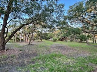 0 Hammocks Way Edisto Island, SC 29438 - Photo 15 of 16 IMG_7299