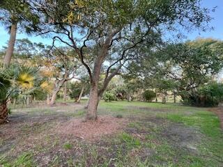 0 Hammocks Way Edisto Island, SC 29438 - Photo 16 of 16 IMG_7298