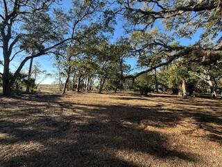 0 Hammocks Way Edisto Island, SC 29438 - Photo 3 of 16 IMG_0752