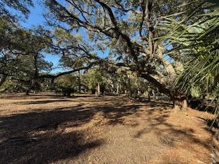0 Hammocks Way Edisto Island, SC 29438 - Photo 4 of 16 IMG_0751
