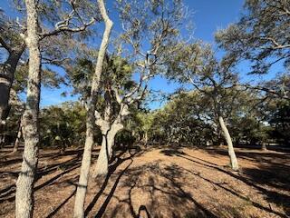 0 Hammocks Way Edisto Island, SC 29438 - Photo 5 of 16 IMG_0753