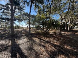 0 Hammocks Way Edisto Island, SC 29438 - Photo 6 of 16 IMG_0750