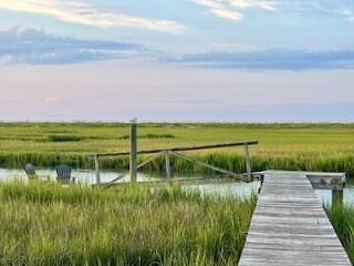 0 Hammocks Way Edisto Island, SC 29438 - Photo 9 of 16 IMG_7289