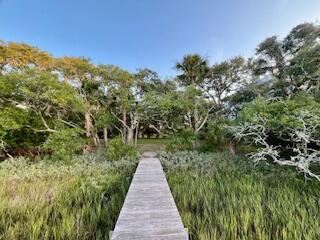 0 Hammocks Way Edisto Island, SC 29438 - Photo 10 of 16 IMG_7295