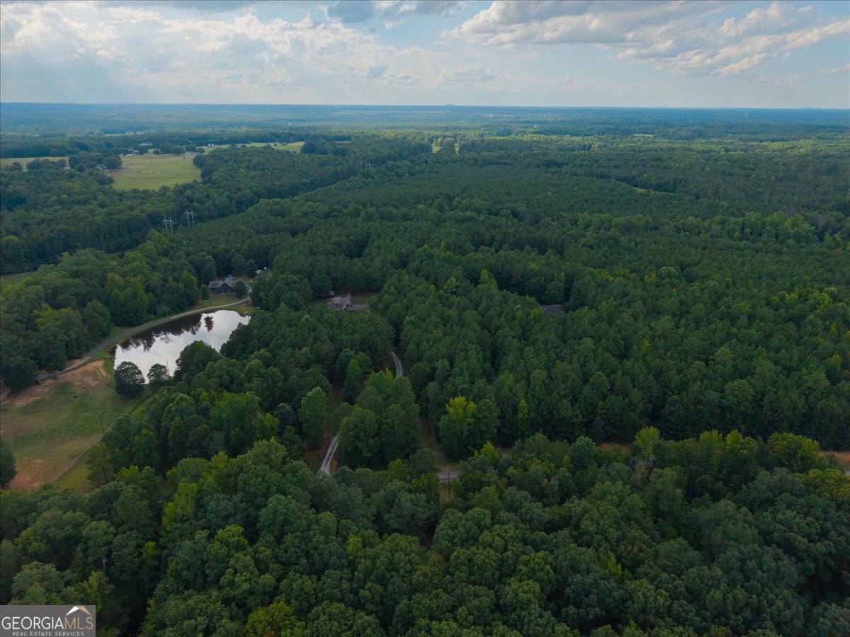an aerial view of residential houses with outdoor space and trees