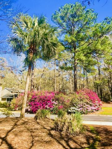 7752 Montview Road North Charleston, SC 29418 - Photo 27 of 50 Gorgeous Landscaping