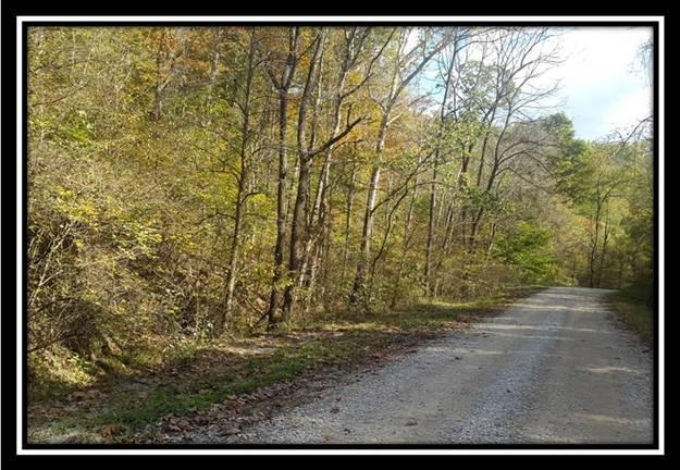 1328 Peters Branch Road Crown City, OH 45623 - Photo 1 of 10