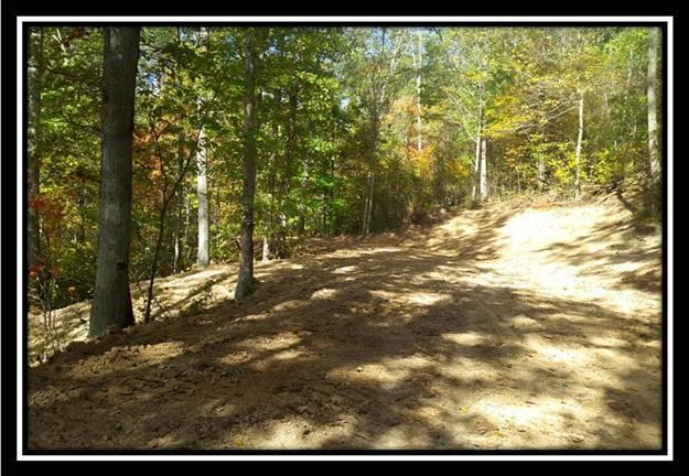 1328 Peters Branch Road Crown City, OH 45623 - Photo 2 of 10