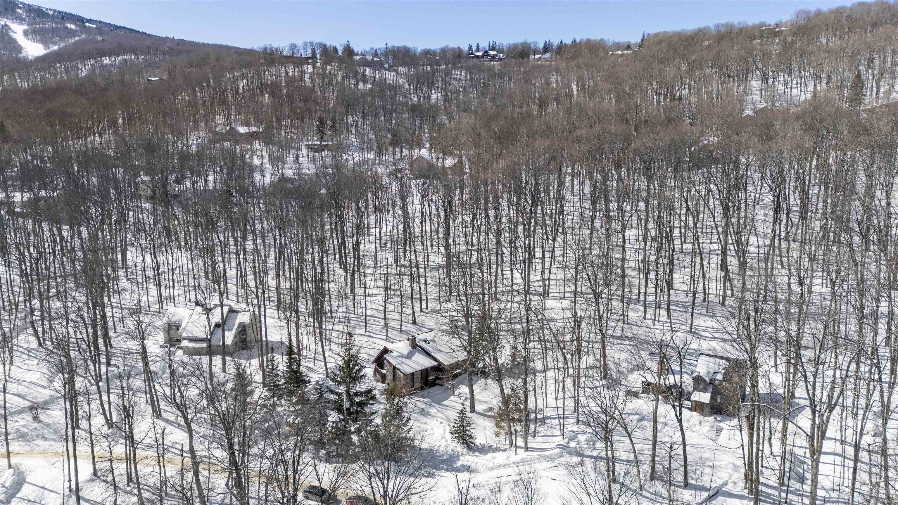 11 Roundtree Road Winhall, VT 05340 - Photo 6 of 43