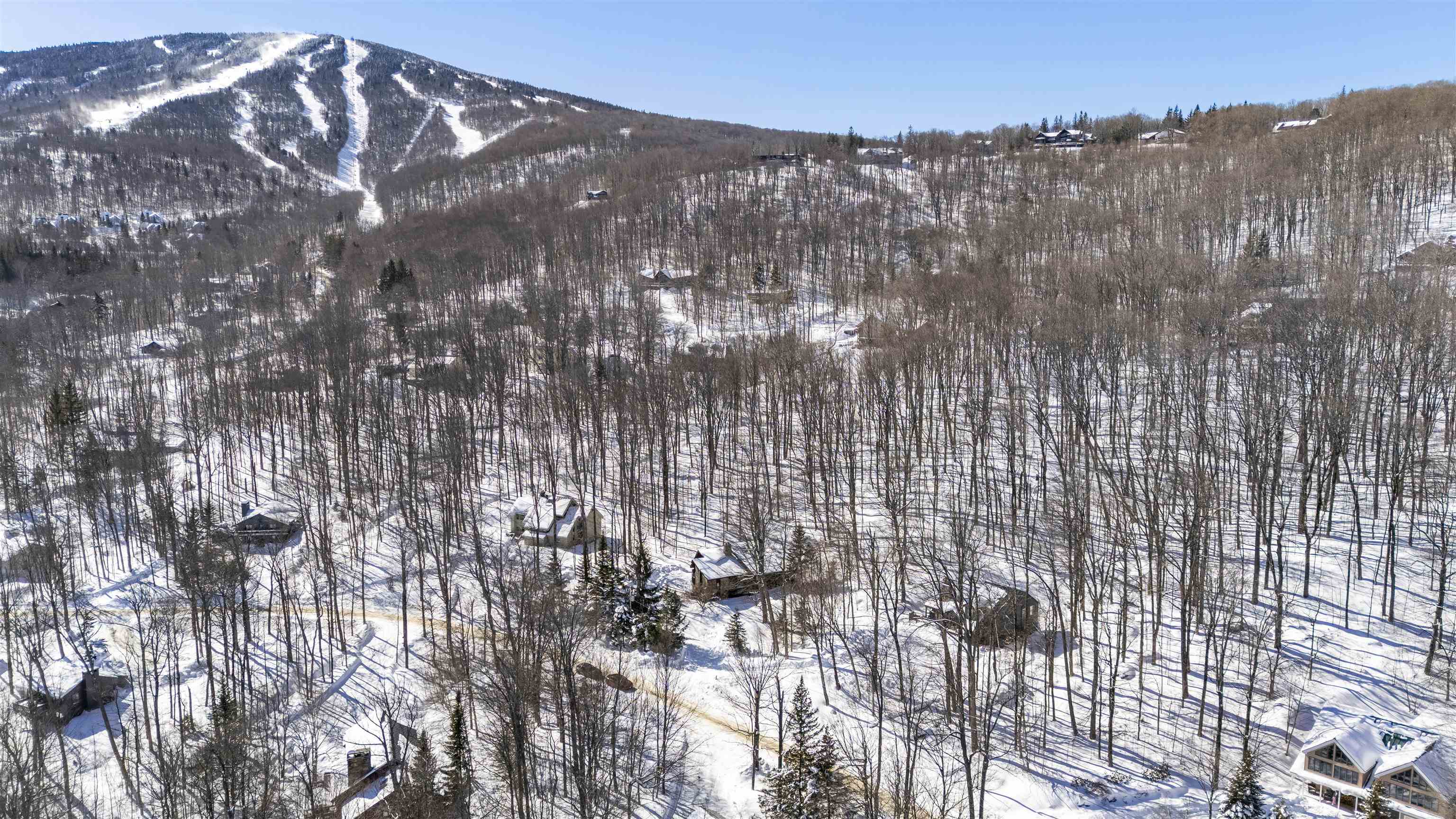 11 Roundtree Road Winhall, VT 05340 - Photo 7 of 43