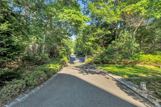 a view of a road from a yard