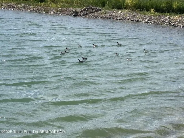 $849,000 | Lot 4 Boundless Sky Drive, Tetonia, ID 83452