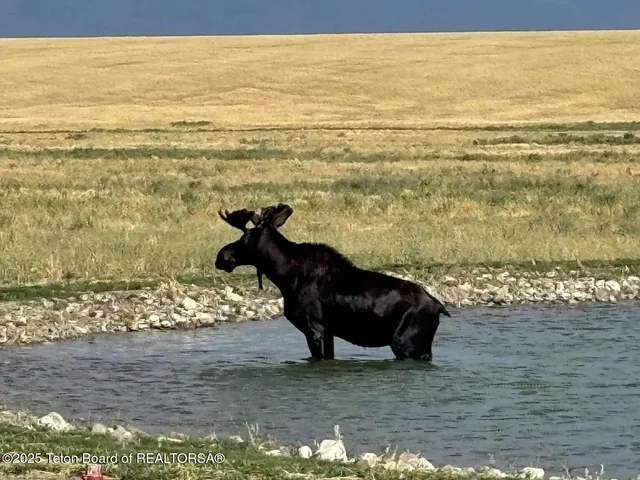 $849,000 | Lot 4 Boundless Sky Drive, Tetonia, ID 83452