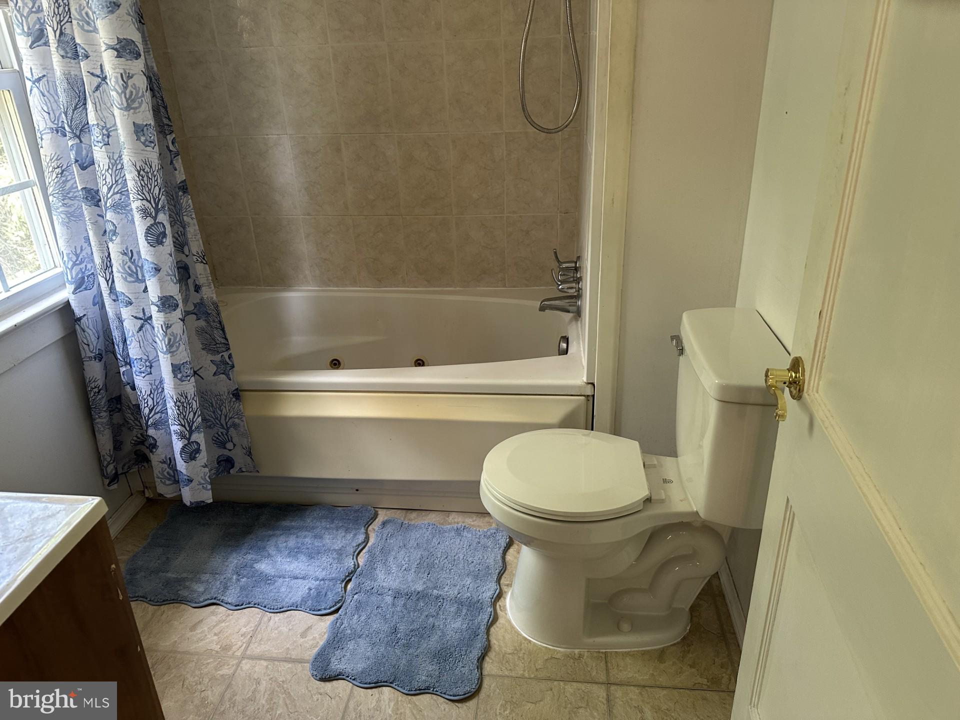 317 Magnolia Road Pemberton, NJ 08068 - Photo 33 of 42 a bathroom with a toilet and a shower