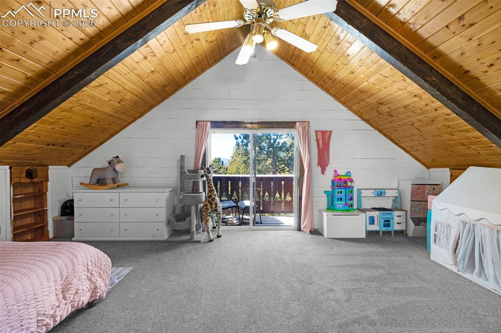 1276 Pinewood Road Florissant, CO 80816 - Photo 17 of 31