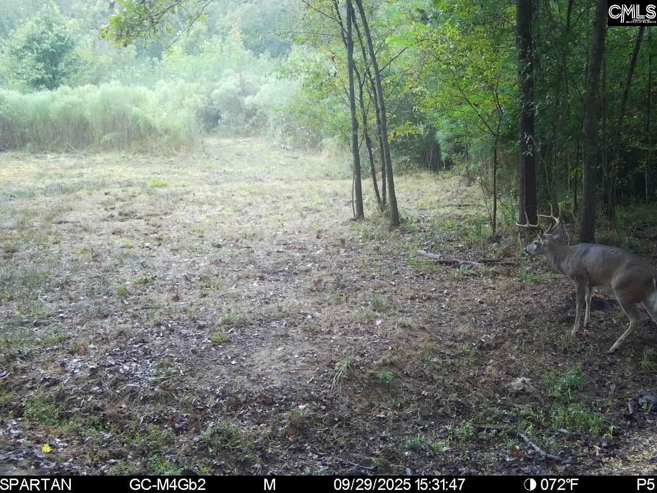 561 Church Road Batesburg, SC 29006 - Photo 5 of 24