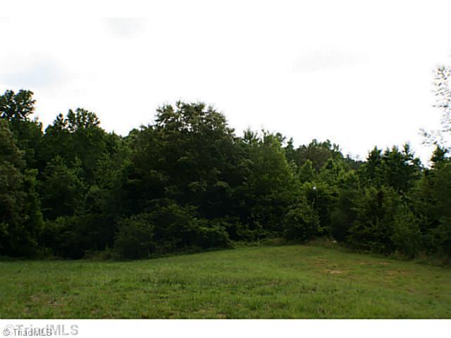 1948 Helmstetler Road Lexington, NC 27295 - Photo 12 of 16 Land/Lot.