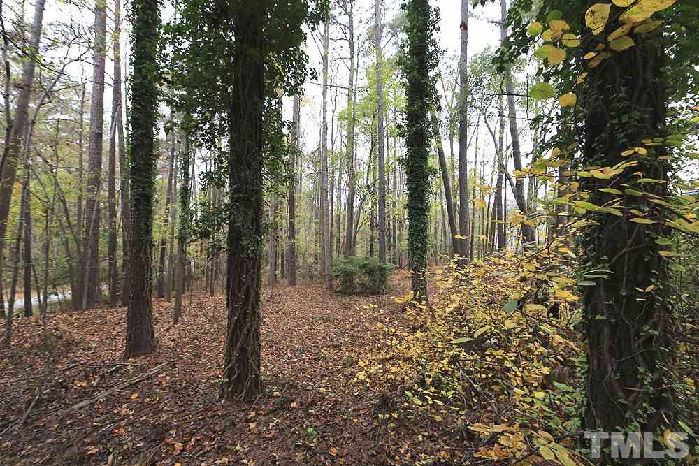 3740 West Lake Road Apex, NC 27539 - Photo 13 of 14 Gallery Image 13
