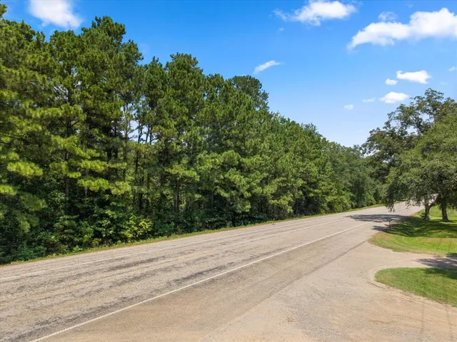 a view of a garden with a pathway