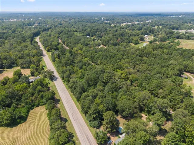 a view of a city with lush green forest