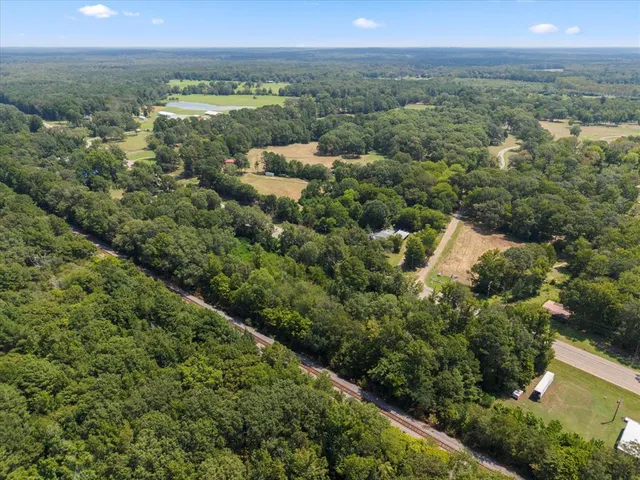 an aerial view of residential houses with outdoor space and trees