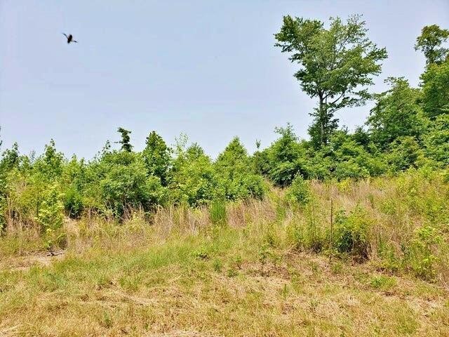 169 County Road 188 Decatur, TN 37322 - Photo 6 of 24