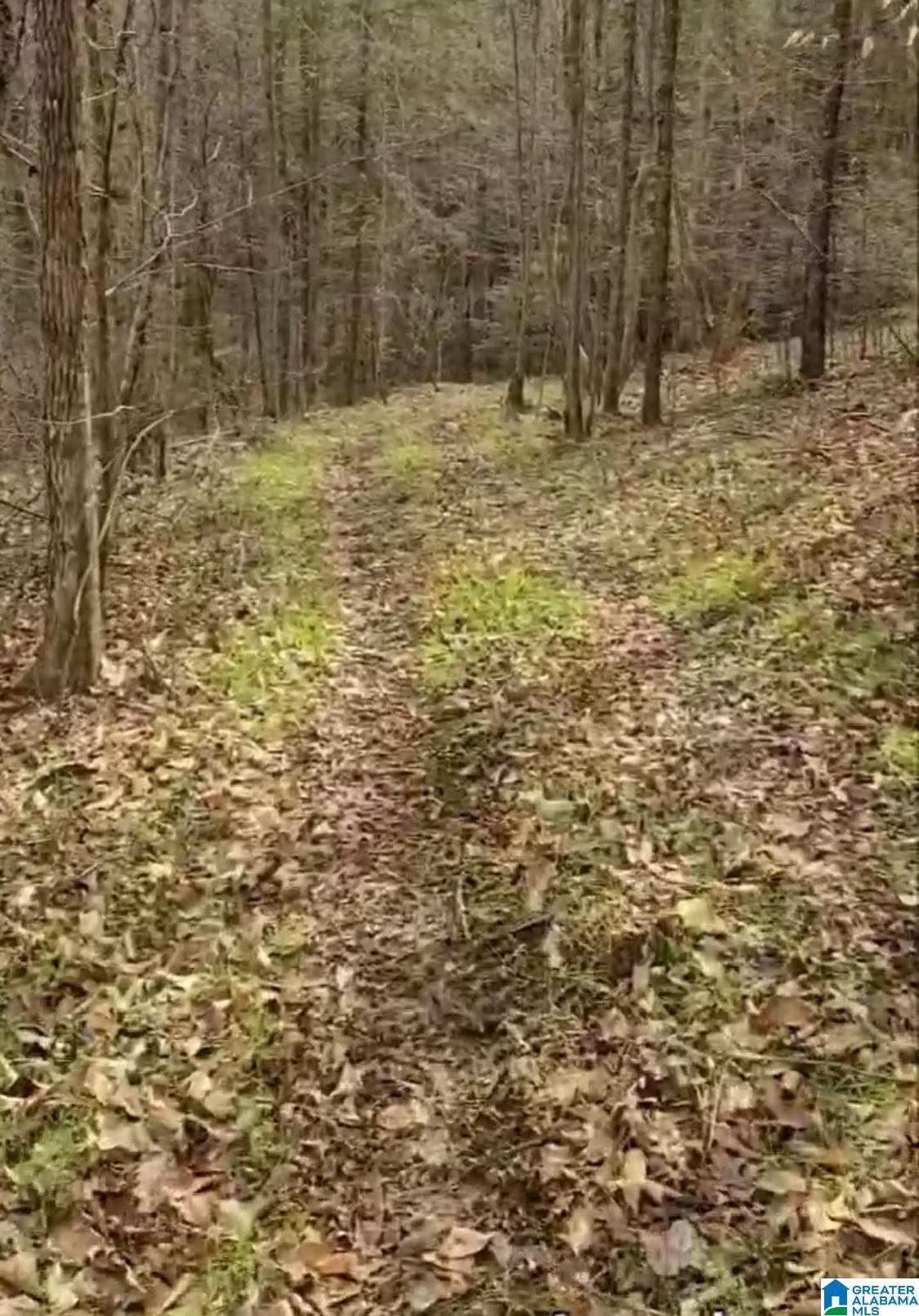 2 County Road 2, Unit 50 / ACRES Double Springs, AL 35553 - Photo 72 of 79