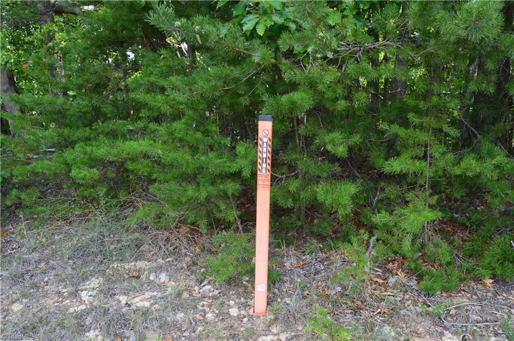2122 Cherokee Camp Road Reidsville, NC 27320 - Photo 5 of 21 Gallery Image 5