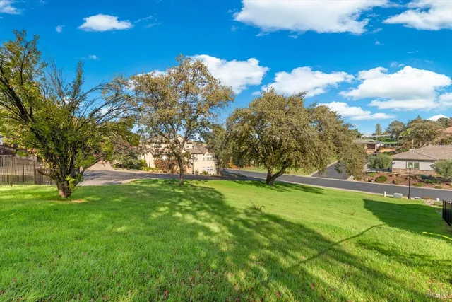 a view of a trees with a yard