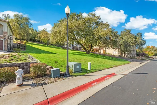 a view of a park with entertaining space