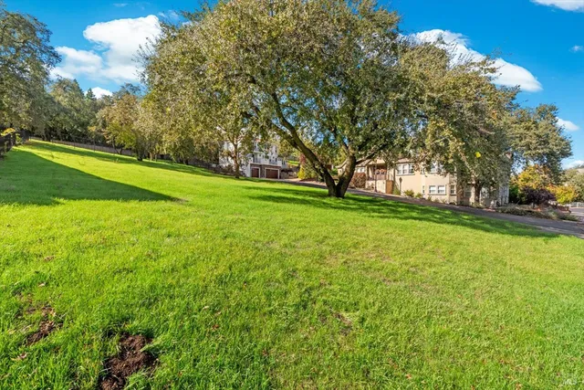 a view of a trees with a big yard