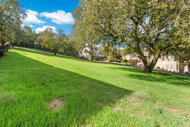 a view of a field of grass and trees