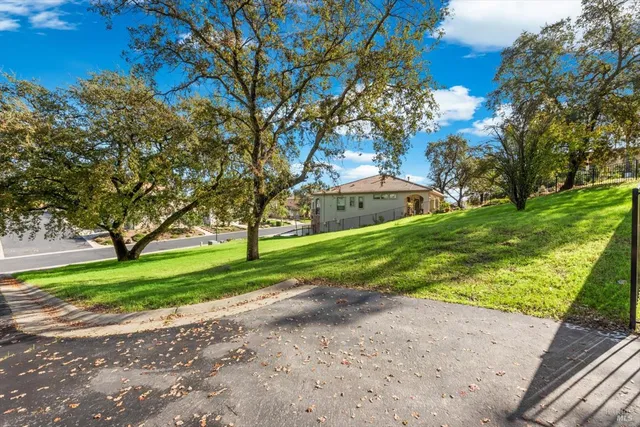 a view of a park with large trees