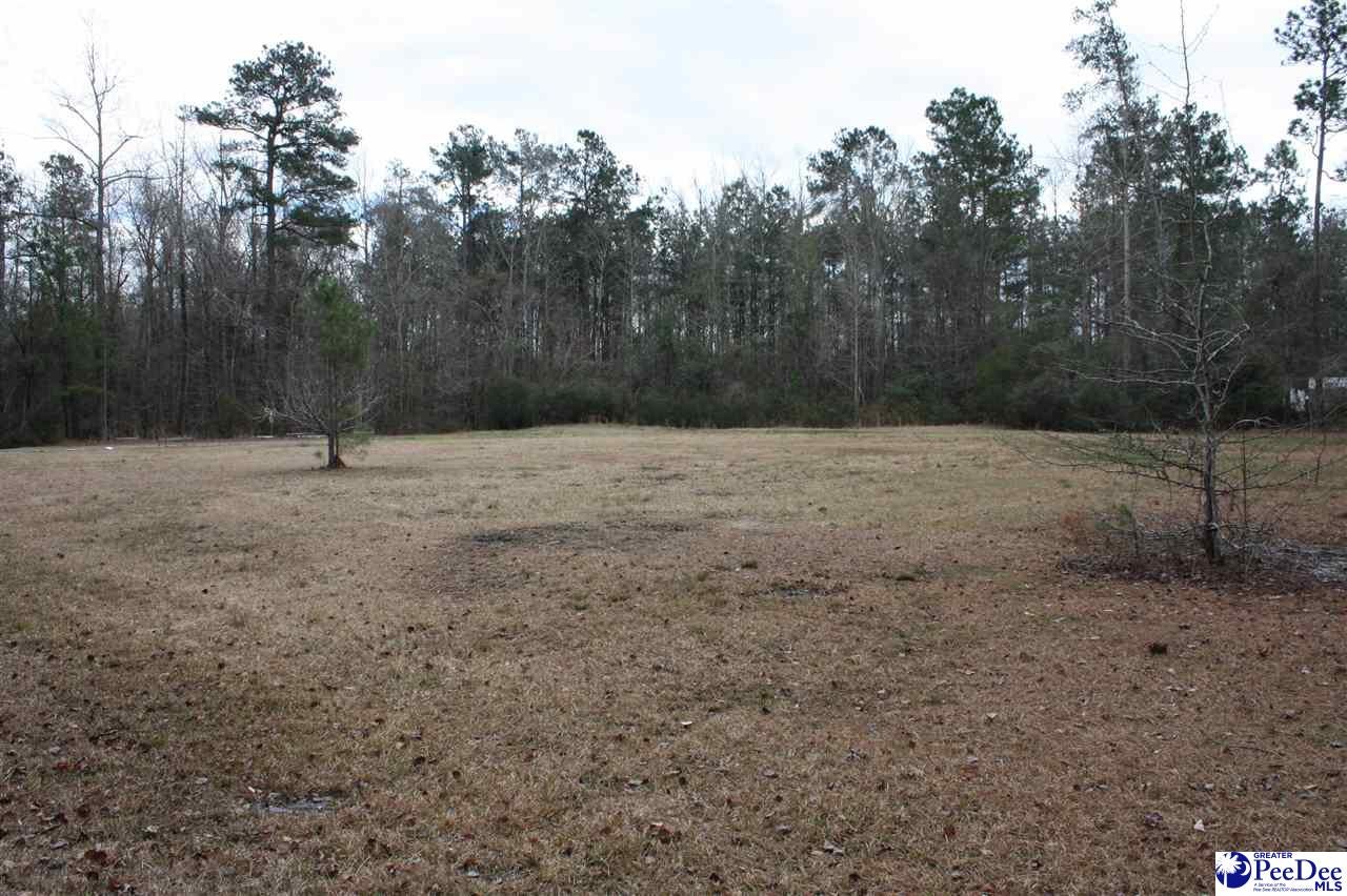 122 Campground Road Hemingway, SC 29554 - Photo 1 of 1 Gallery Image 1