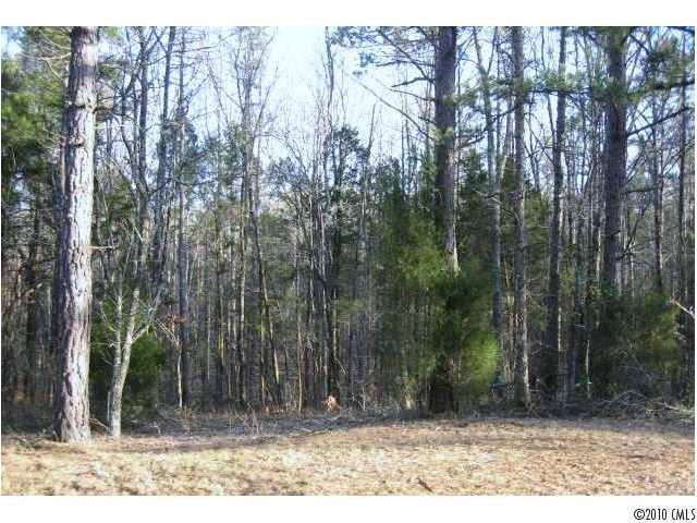 0 Tater Ridge Road Concord, NC 28025 - Photo 1 of 1 Gallery Image 1