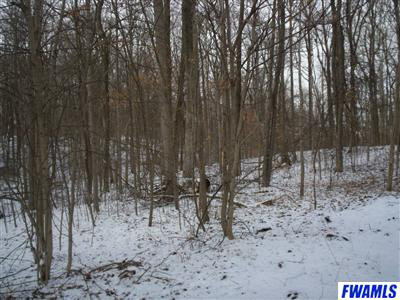 10344 Lower Huntington Road Roanoke, IN 46783 - Photo 9 of 13