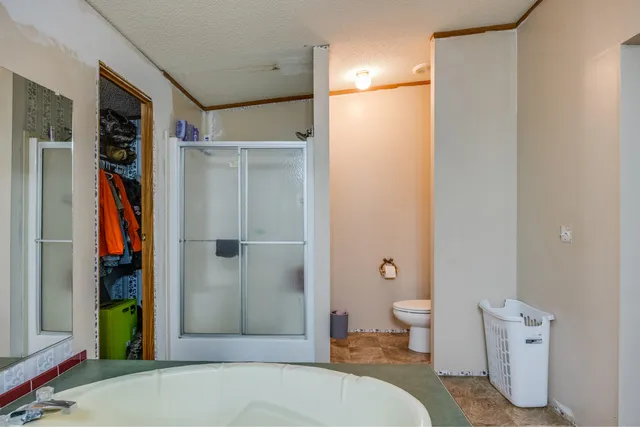 a bathroom with a shower and a toilet
