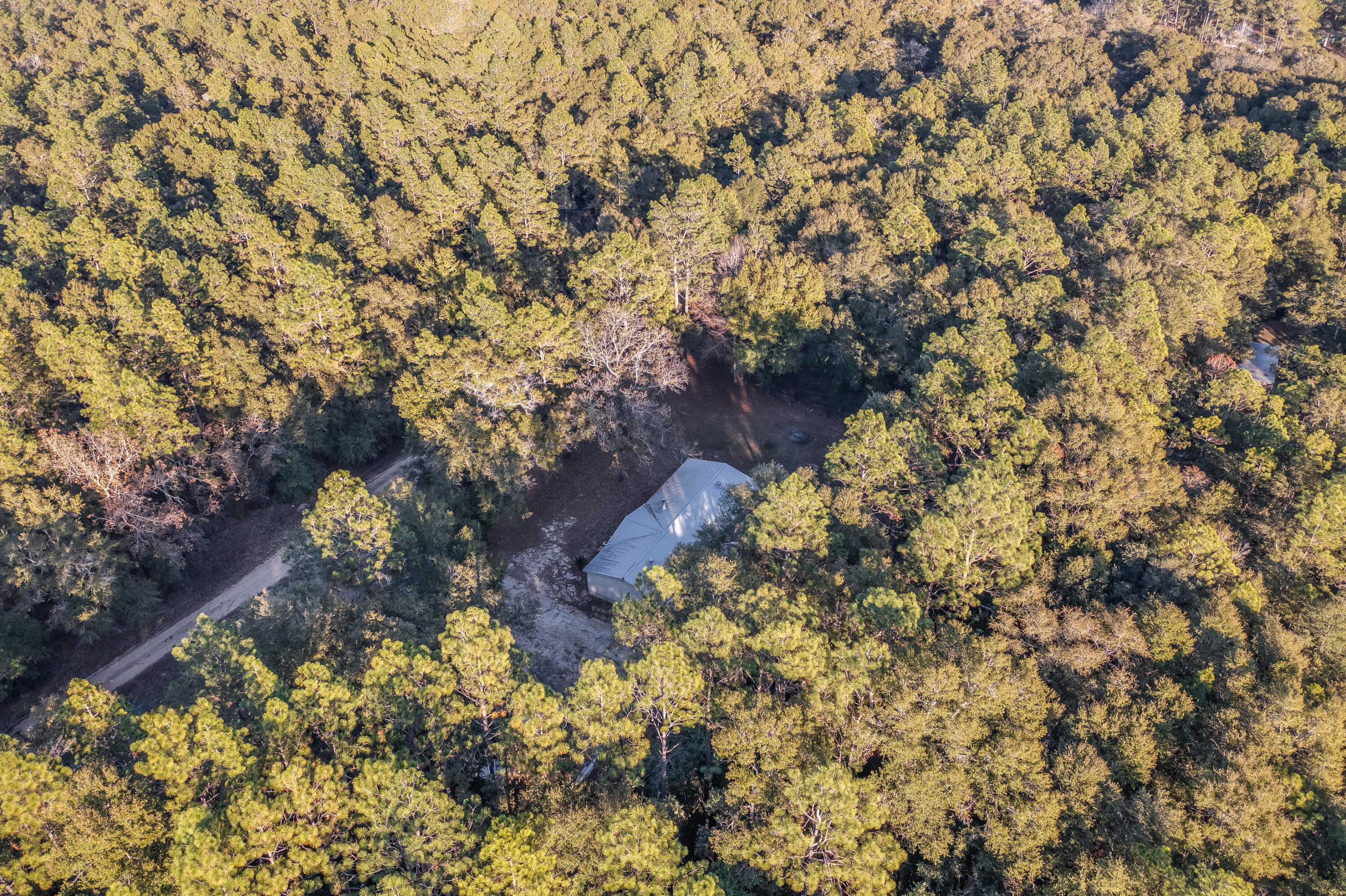 1953 Cotton Creek Road Baker, FL 32531 - Photo 36 of 38 a yard with a tree