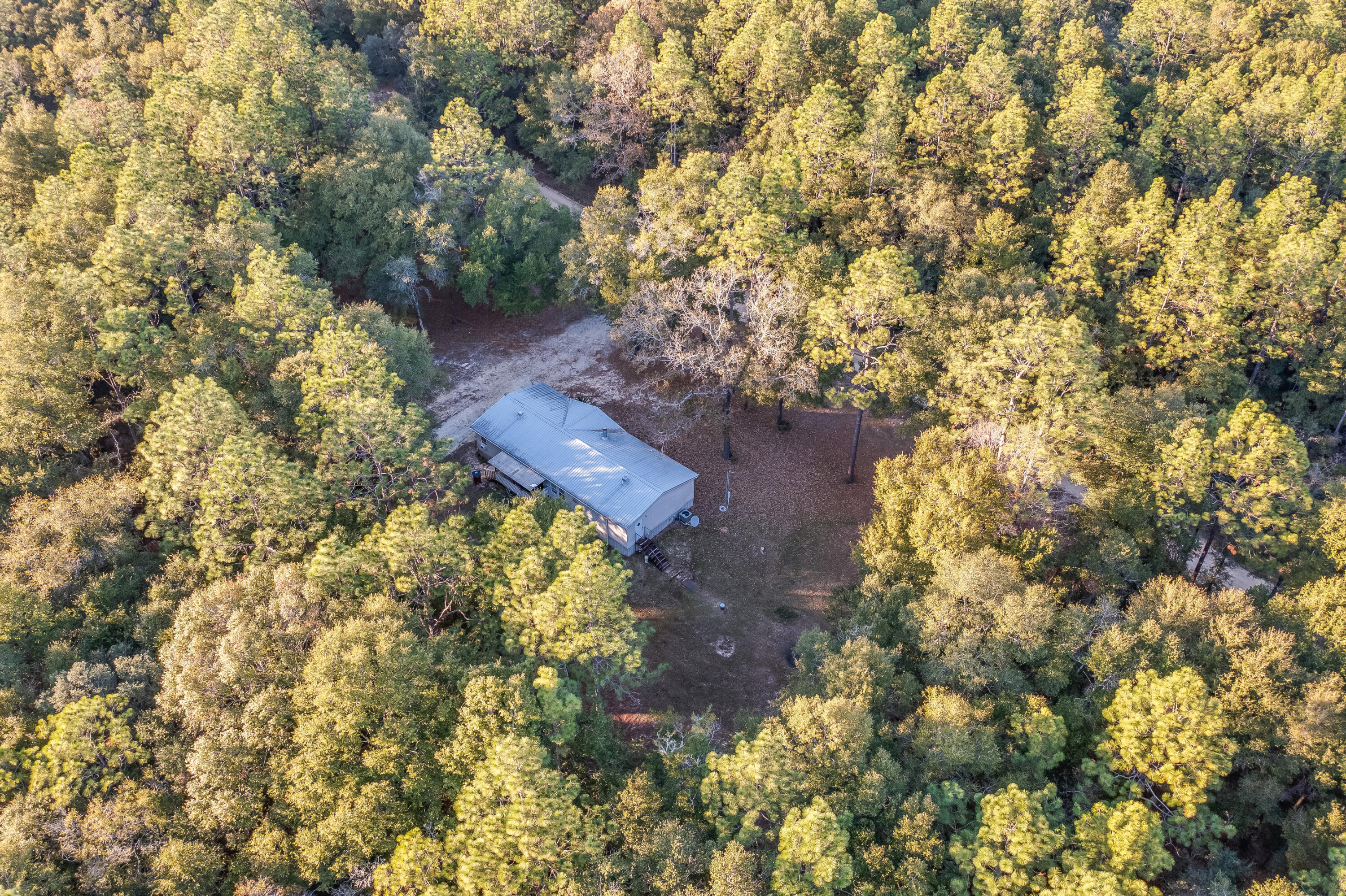 1953 Cotton Creek Road Baker, FL 32531 - Photo 37 of 38 a yard with tall trees