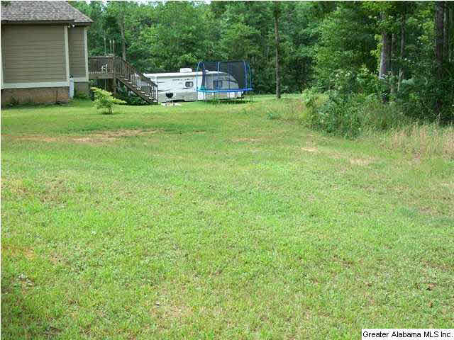 1775 Blue Sky Road Adger, AL 35006 - Photo 3 of 24