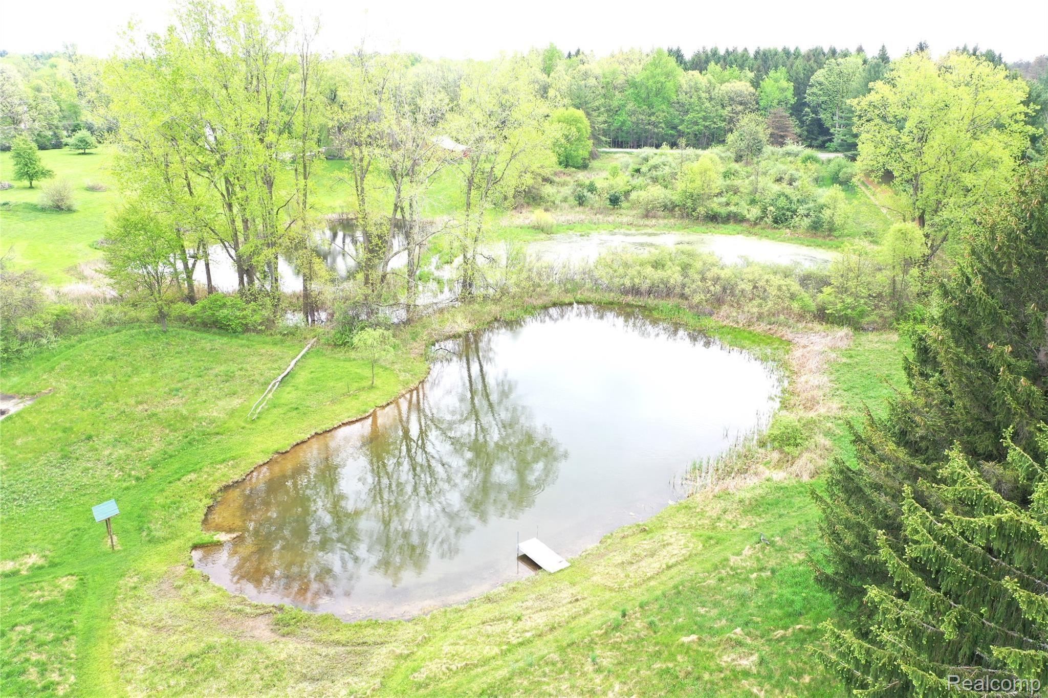 5550 Rochester Road Dryden, MI 48428 - Photo 4 of 51 DJI_0237.JPG